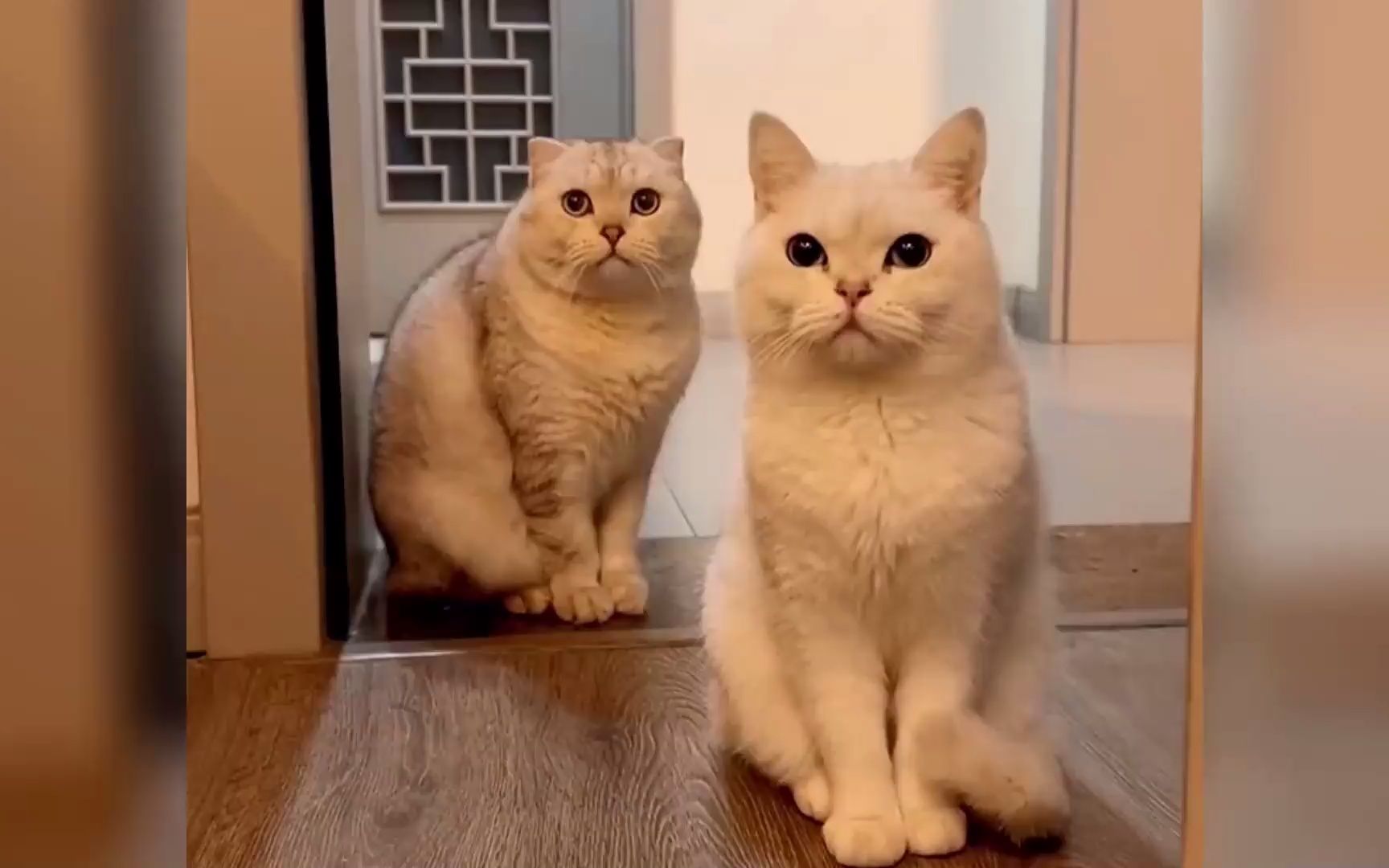 Telegram：超越想象的全球无障碍交流通讯工具